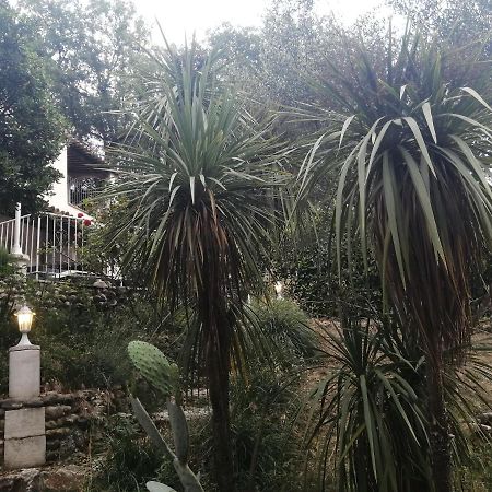 Hotel La Mhirabelle Saint-Paul-de-Vence Esterno foto