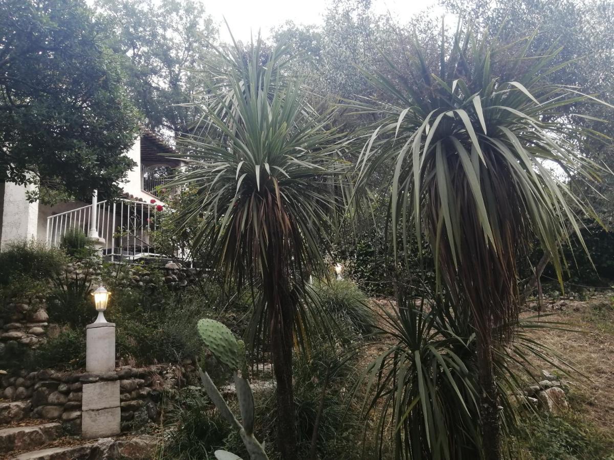 Hotel La Mhirabelle Saint-Paul-de-Vence Esterno foto